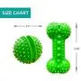 Hide a Treat Ball and Bone Treat Dispenser Toy for Dogs 2pc Ball/Bone Bundle (Green) Hide a Treat Ball and Bone Treat Dispenser Toy for Dogs 2pc Ball/Bone Bundle (Green)