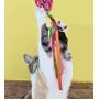 JW Pet Company Cataction Football with Steamers, Cat Toy