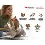 Petkin Pet Wipes – Big n Thick Extra Large Oatmeal Pet Wipes – Cleans Face, Ears, Body and Eye Area – Super Convenient, Ideal for Home or Travel- Wipes for Petkin Pet Wipes – Big n Thick Extra Large Oatmeal Pet Wipes – Cleans Face, Ears, Body and Eye Area – Super Convenient, Ideal for Home or Travel- Wipes for