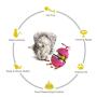 Cat Toy Interactive Cat Tumbler Toy Ball Pet Treat Leaking Toy with Dual Rolling Balls & Teasing Wand for Cats Kitten Puppy Exercise (Blue)