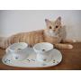 Necoichi Dining Cat Food Tray