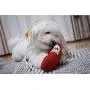 ChoChoCho Ramen Noodle Cup Nose Work Interactive Dog Plush Toy, Food Dispensing Toys, Hide Treat and Sniff Toy for Small and Medium Breed Dogs Cat Puppy ChoChoCho Ramen Noodle Cup Nose Work Interactive Dog Plush Toy, Food Dispensing Toys, Hide Treat and Sniff Toy for Small and Medium Breed Dogs Cat Puppy
