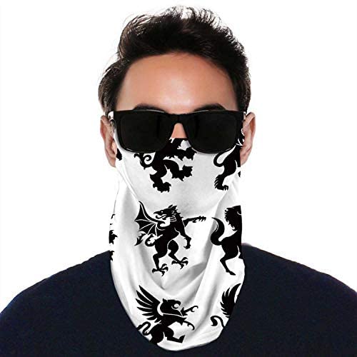 Pig - - s Czech Republic, Face Neck Gaiters ana Scarf wear for Outdoor Sports Pig 11.8 inch x 9.