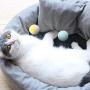 Krimo Pet Supplies, 1.8 Inches Diameter Pet Plush Ball Toys for Cats and Kittens, 1 Pc Handmade Colorful Eco-Friendly Cat Wool Balls, Color Random