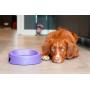 hownd Hero Dog Bowl Pet Products- Antimicrobial Dog Bowl - Actively Kills Microbes, Such as Bacteria, Mold and Fungi, up to 99.99% on Bowls Surface- Hygienic Dog Bowl (Large, Lavender Blush)