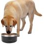 Mind Reader Stainless Steel Slip Non Skid Large Capacity Dog Bowl 8 Cups, 64 Oz, Black