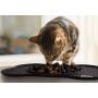 BBMaxPro Dog Feeder Slow Eating Bowl