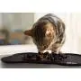BBMaxPro Dog Feeder Slow Eating Bowl