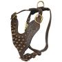 Dean and Tyler The Blade with Handle Solid Brass Hardware Leather Dog Harness, Brown, Medium - Fits Girth Size: 20-Inch to 32-Inch