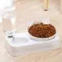 Hawiton Cat Bowl Elevated - Cat Food Bowl/Water Bowl, Pet Food Bowl Slow Cat Feeder Bowl with Stand Anti Ant Small Spill Proof Feeding Wide Bowls 15°Tilted Pet Bowl for Dogs Cats Puppy
