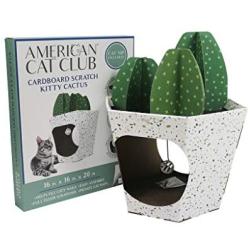 ACC Cactus Cat House & Cat Scratcher w/ Bonus Catnip included