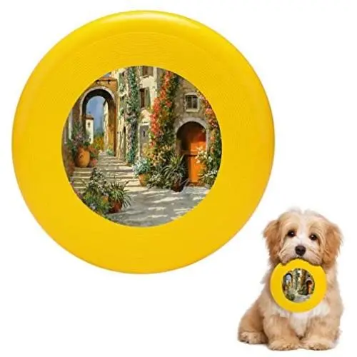 Pet Frisbee Flying Disc Dog Toy - Multifunction La Porta Rossa Sulla Salita Guido Borelli