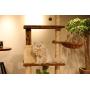 通用 Anti- toppling Climbing Cat Tree, Big Condos with Scratching Sisal Post, Cat Play House, Plush Padded Platforms Cat Activity Center Play House, Cat Bed