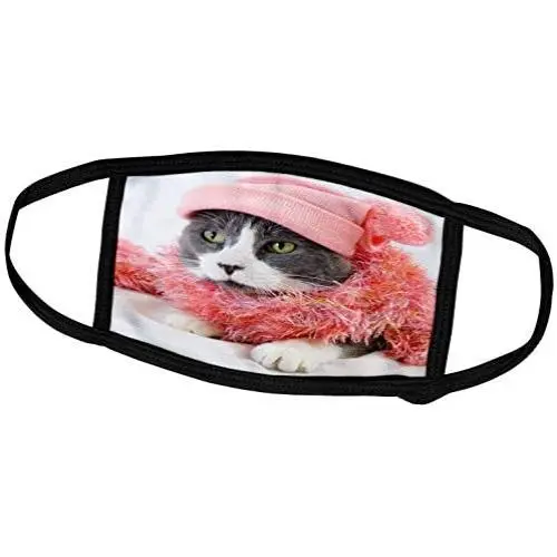 3dRose Sven Herkenrath Animal - Funny Cat with Pink Clothes Cool Kitten Pet Animal - Face Masks (fm_254194_3) 3dRose Sven Herkenrath Animal - Funny Cat with Pink Clothes Cool Kitten Pet Animal - Face Masks (fm_254194_3)