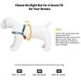 OllyDog Essential Harness, Leash Clip on Chest or Back, Reduced Pulling, Lightweight, Low-Profile, Durable for Everyday Walks and Adventures, for Small, Medium, or Large Dogs
