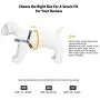 OllyDog Essential Harness, Leash Clip on Chest or Back, Reduced Pulling, Lightweight, Low-Profile, Durable for Everyday Walks and Adventures, for Small, Medium, or Large Dogs