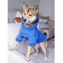 ChoChoCho Dog Hoodie Pet Clothing, Cotton Cats Hoodies, Stylish Streetwear Blue Dog Sweatshirt Tracksuits, Dog Outfit for Dog Cat Puppy Small Medium