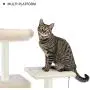 PAWZ Road Cat Tree 60 Inches Multilevel Cat Towers with Luxury Condos,Fully Wrapped Sisal Scratching Post,Plush Hammock and Dangling Balls