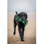 NFL Football Field DOG TOY with Squeaker. - HOUSTON TEXANS - For Tug, Toss, and Fetch. - Tough & Durable PET TOY NFL Football Field DOG TOY with Squeaker. - HOUSTON TEXANS - For Tug, Toss, and Fetch. - Tough & Durable PET TOY