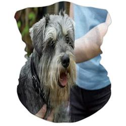 Pet Care Concept Dog,Seamless ana for Sun Dust Protection Toy 19.6 inch x 9.84 inch(LxW)