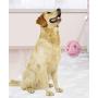Suction Cup Pull Dog Toy, Dog Chew Toys with Bell, Pet Molar Bite Toy, Dog Teeth Cleaning Toy, Multifunctional Interactive Pet Toy (Blue)