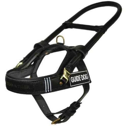 Dean and Tyler Guide Brass Hardware Leather Dog Harness, Black/Reflective, Medium - Fits Girth: 25-Inch to 31-Inch, Chest Size: 22-Inch