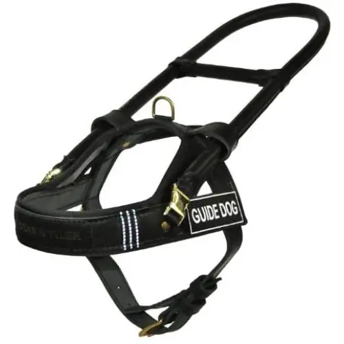 Dean and Tyler Guide Brass Hardware Leather Dog Harness, Black/Reflective, Medium - Fits Girth: 25-Inch to 31-Inch, Chest Size: 22-Inch Dean and Tyler Guide Brass Hardware Leather Dog Harness, Black/Reflective, Medium - Fits Girth: 25-Inch to 31-Inch, Chest Size: 22-Inch
