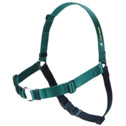 Sense-ation No-Pull Dog Harness - Large/Wide Green with Black