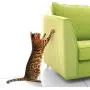 VST Cat Furniture Protector,Cat Anti Scratch Tape Clear Double Sided Tape for Cats Scratching,Couch Protector from Cats,Cat Scratch Deterrent Training Tape Sheets,XL Large 17'' x 12'' 10 PCS No Pins VST Cat Furniture Protector,Cat Anti Scratch Tape Clear Double Sided Tape for Cats Scratching,Couch Protector from Cats,Cat Scratch Deterrent Training Tape Sheets,XL Large 17'' x 12'' 10 PCS No Pins