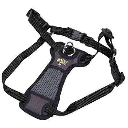 Coastal Pet Walk Right! Front-Connect Padded Dog Harness (Medium - 20''-30'' Girth, Black)