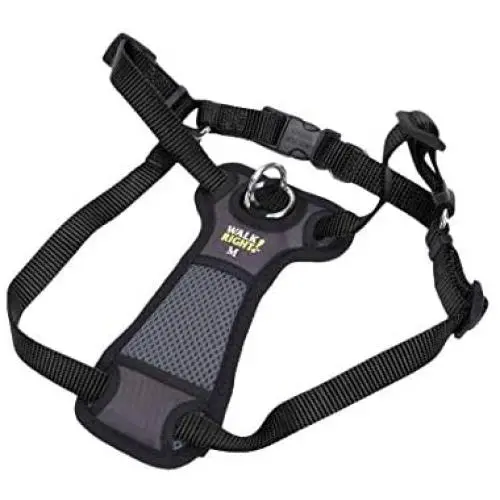 Coastal Pet Walk Right! Front-Connect Padded Dog Harness (Medium - 20''-30'' Girth, Black) Coastal Pet Walk Right! Front-Connect Padded Dog Harness (Medium - 20''-30'' Girth, Black)