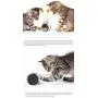 Pet Supplies New Balance Swing Car Tumbler Leak Ball Cat Toy,Green Pet Supplies New Balance Swing Car Tumbler Leak Ball Cat Toy,Green