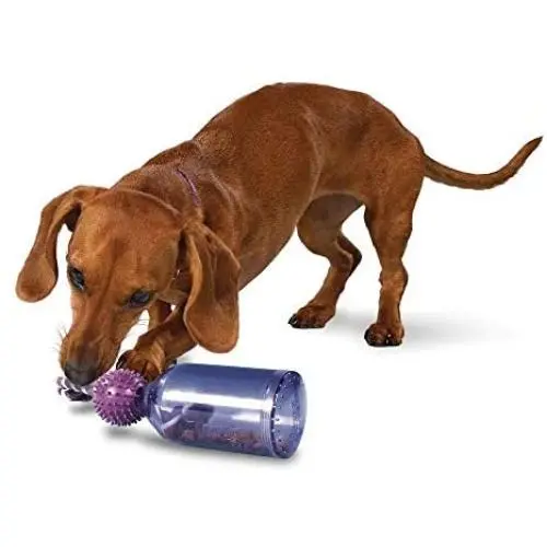 Premier Pet PetSafe Busy Buddy Tug-A-Jug Meal-Dispensing Dog Toy Use with Kibble or Treats Premier Pet PetSafe Busy Buddy Tug-A-Jug Meal-Dispensing Dog Toy Use with Kibble or Treats