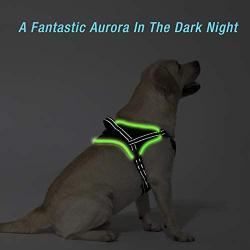 Golener Dog Harness No Pull, Reflective Puppy Harness with Led Light, Adjustable Dog Vest Harness, Soft Breathable Oxford Stylish Pet Harnesses with Easy Control Handle for Small/Medium/Large Dogs