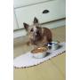 Envision Home 420401 Microfiber Pet Bowl Mat, 12.5 Inch x 21.5 Inch, Taupe