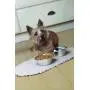 Envision Home 420401 Microfiber Pet Bowl Mat, 12.5 Inch x 21.5 Inch, Taupe Envision Home 420401 Microfiber Pet Bowl Mat, 12.5 Inch x 21.5 Inch, Taupe