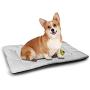 DayDayFun Letter R Pet Mat Customization Gothic Medieval Inspired Alphabet Font Capital R Calligraphic Design Illustration Easy-to-Clean Pet Mat Black White