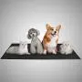 XCEL 5 Pack Neoprene Pet Mats, Water and Weather Resistant