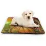 Small Dog Bed Puppy Pads Happy Thanksgiving Cornucopia With Pumpkin Fruit Dog Cat Bed Mat Washable Durable Pet Mattress For Dogs Cats Kitten Puppies Sleeping Cages Kennel Indoor Outdoor Indestructible Small Dog Bed Puppy Pads Happy Thanksgiving Cornucopia With Pumpkin Fruit Dog Cat Bed Mat Washable Durable Pet Mattress For Dogs Cats Kitten Puppies Sleeping Cages Kennel Indoor Outdoor Indestructible