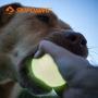 SKIPDAWG Squeaky Glow Dog Ball, Light up Dog Ball Glow in The Dark, Interactive Toys for Dogs Indoor/Outdoor Exercise, Durable TPR Fetch Ball Dog Toys