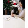 Pearhead Letters from Your Pet Gift Set, Includes Pet Clean-Touch Ink Pad, Holiday Cards and Envelopes, Pet Owner, Multi