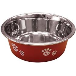 Ethical Pet Barcelona Matte and Stainless Steel Pet Dish, 16-Ounce, Raspberry