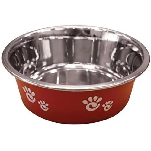 Ethical Pet Barcelona Matte and Stainless Steel Pet Dish, 16-Ounce, Raspberry Ethical Pet Barcelona Matte and Stainless Steel Pet Dish, 16-Ounce, Raspberry