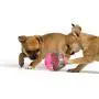 Pets First Feeding Toys for Cats, Dogs, and Small Mammals | Convenient Dispenser Ball Toys Provide Continuous Fun and Healthy Habits Pets First Feeding Toys for Cats, Dogs, and Small Mammals | Convenient Dispenser Ball Toys Provide Continuous Fun and Healthy Habits