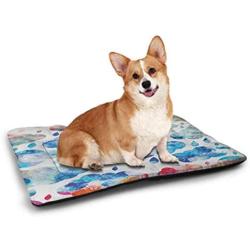 DayDayFun Modern Pet Training Mat China Shangai Airport with Big Jet Plane Wanderlust Traveller Photograph Pet Mat Waterproof White and Sky Blue