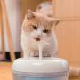 ILLUWA Apple-Shaped Cat Water Fountain, Pet Water Fountain, Cat Water Dispenser, Dog Water Bowl Dispenser, Dog Water Fountain, Cat Fountain Water Bowl, Water Fountain for Cats, Cat Drinking Fountains