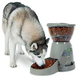 Petmate Portion Right Programmable Dog and Cat Feeder 2 Sizes Brushed Nickel