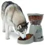 Petmate Portion Right Programmable Dog and Cat Feeder 2 Sizes Brushed Nickel Petmate Portion Right Programmable Dog and Cat Feeder 2 Sizes Brushed Nickel