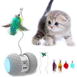 MalsiPree Robotic Interactive Cat Toy, Automatic Feather/Ball Teaser Toys for Kitten/Cats, USB Rechargeable Electronic Kitty Toy, Large Capacity Battery, All Floors/Carpet Available, 4 Bonus Feathers