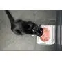 Sure Petcare - SureFeed - Motion Activated Sealed Pet Bowl Sure Petcare - SureFeed - Motion Activated Sealed Pet Bowl